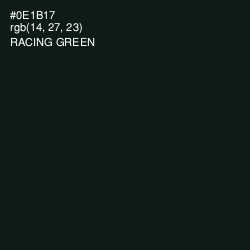 #0E1B17 - Racing Green Color Image